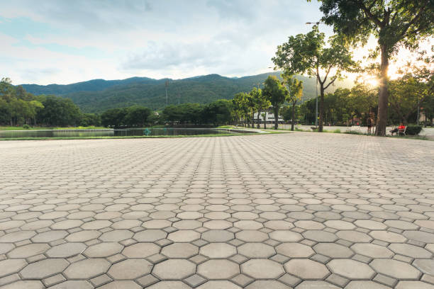 Best Residential Paver Driveway  in Berkeley, MO