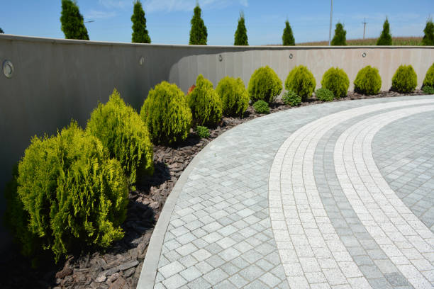 Best Local Driveway Pavers  in Berkeley, MO